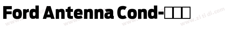 Ford Antenna Cond字体转换